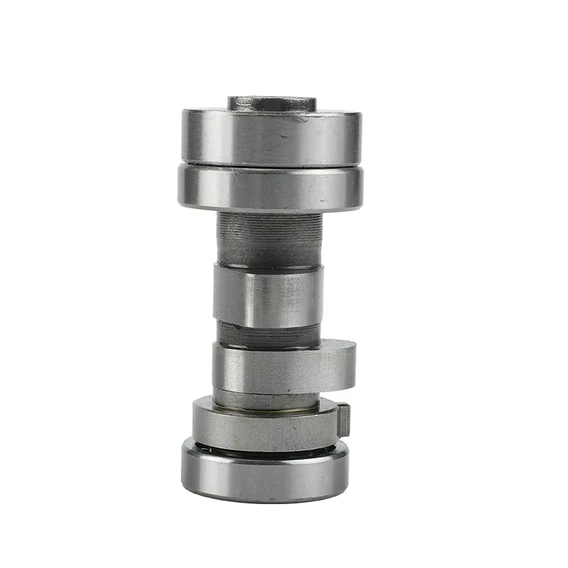 Motorcycle Camshaft for Horizontal Kick Starter Engines Dirt Pit Bikes Parts Engine Parts 1P56FMJ Lifan 150 150cc