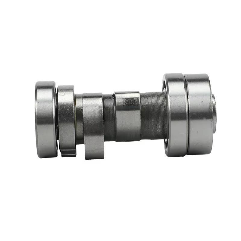 Motorcycle Camshaft for  Horizontal Kick Starter Engines Dirt Pit Bikes Parts Engine Parts 1P56FMJ Lifan 150 150cc