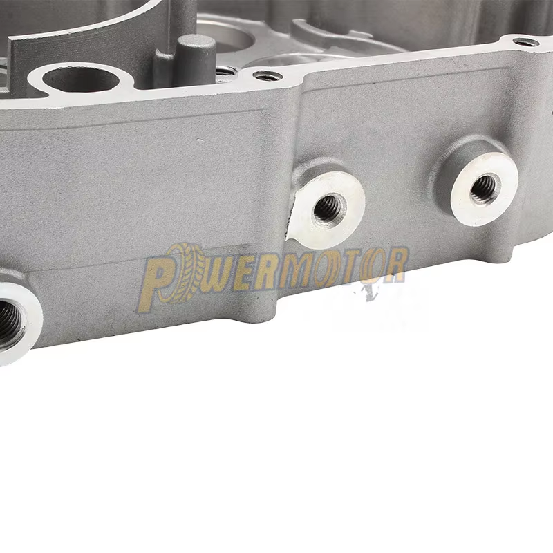 PowerMotorMotorcycle Z190 Right Crankcase for Zongshen 190cc Engine the Code No.ZS1P62YML-2 Pit Dirt Bike
